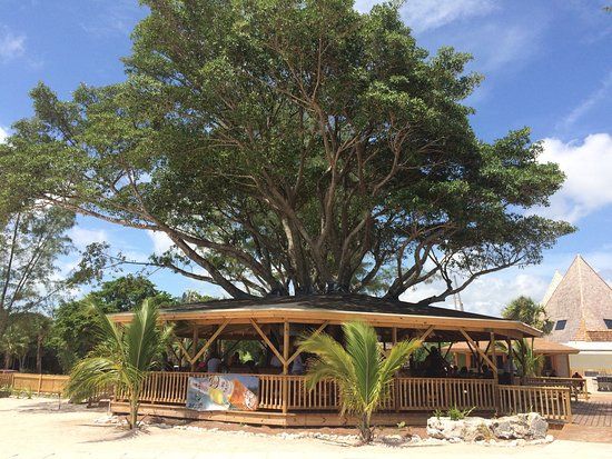 Pirate's Cove Zipline and Water Park